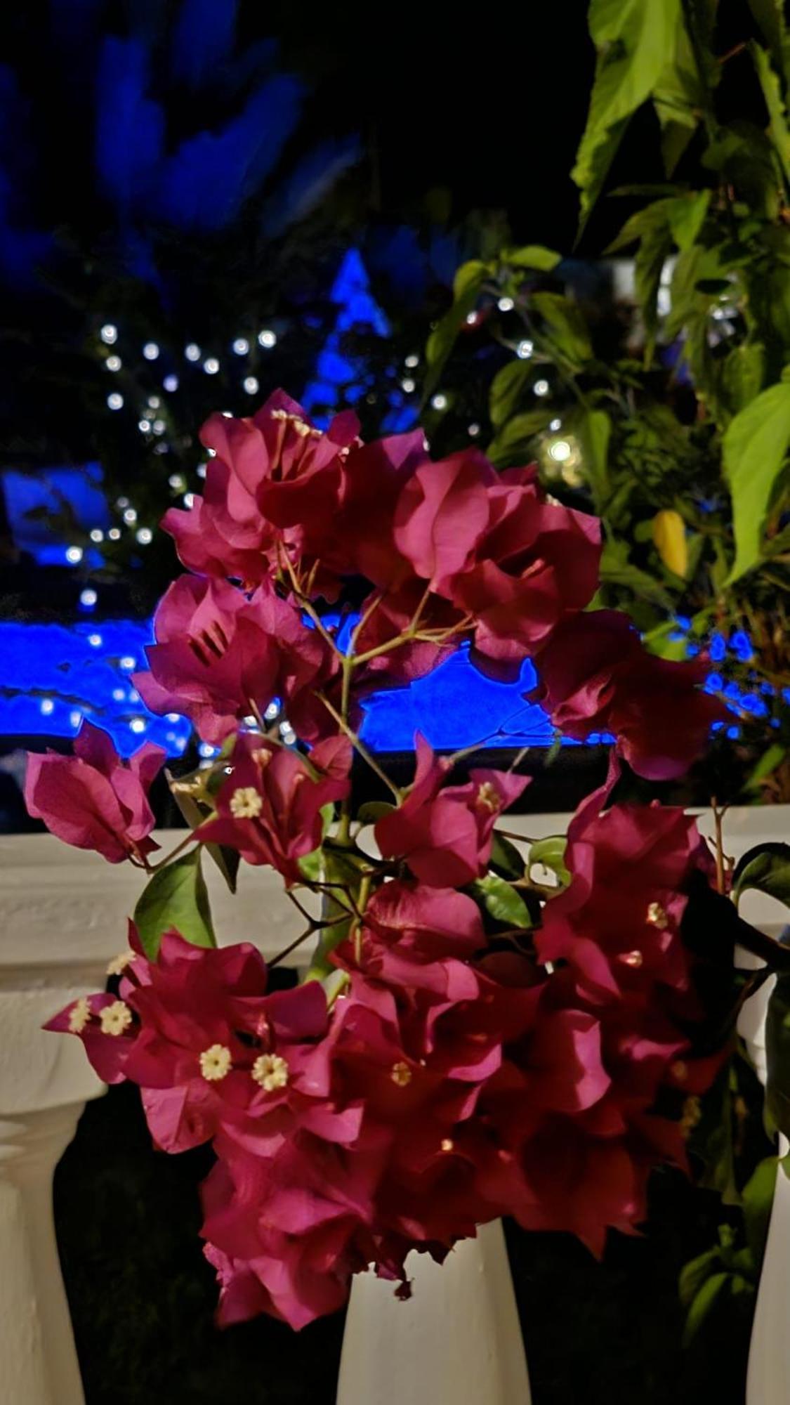 Villa Bade Dalyan Bagian luar foto