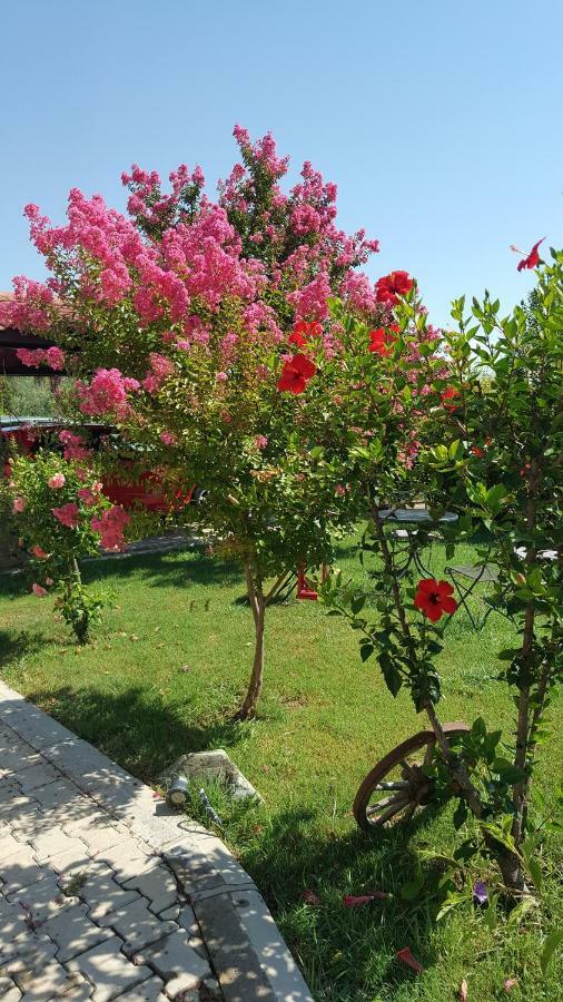 Villa Bade Dalyan Bagian luar foto
