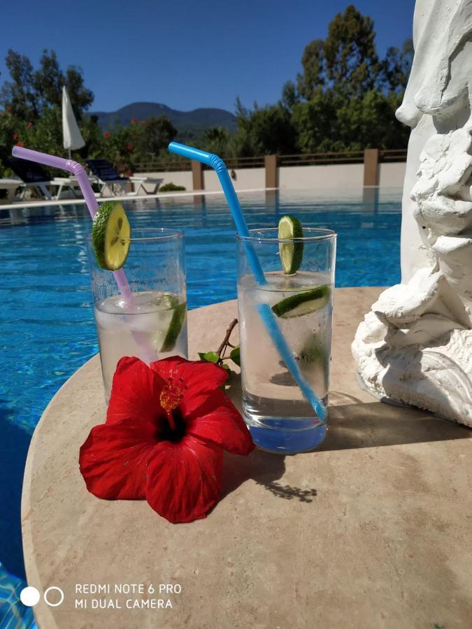 Villa Bade Dalyan Bagian luar foto